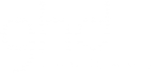 Voor professionele stijltangen van GHD kun je terrecht bij The Hair Compass