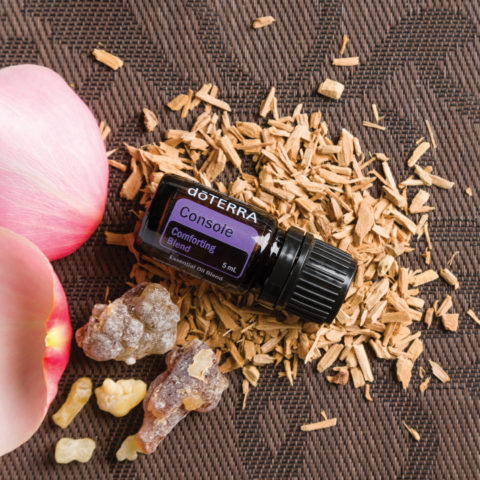 Een hoofdmassage wordt bij onze kapsalon gecomplimenteerd met de oliën van DoTerra